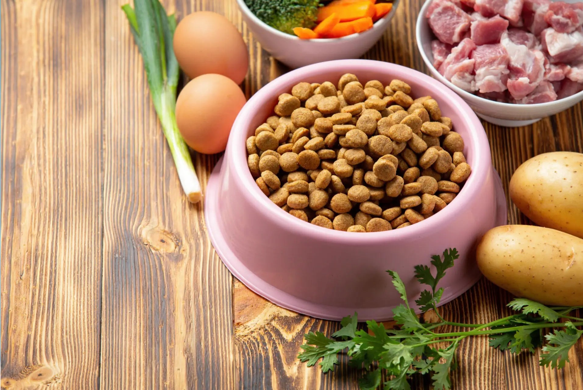 How to Choose the Right Food for Your Dog (Complete Guide)