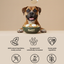Easy Peasy Digestion Topper