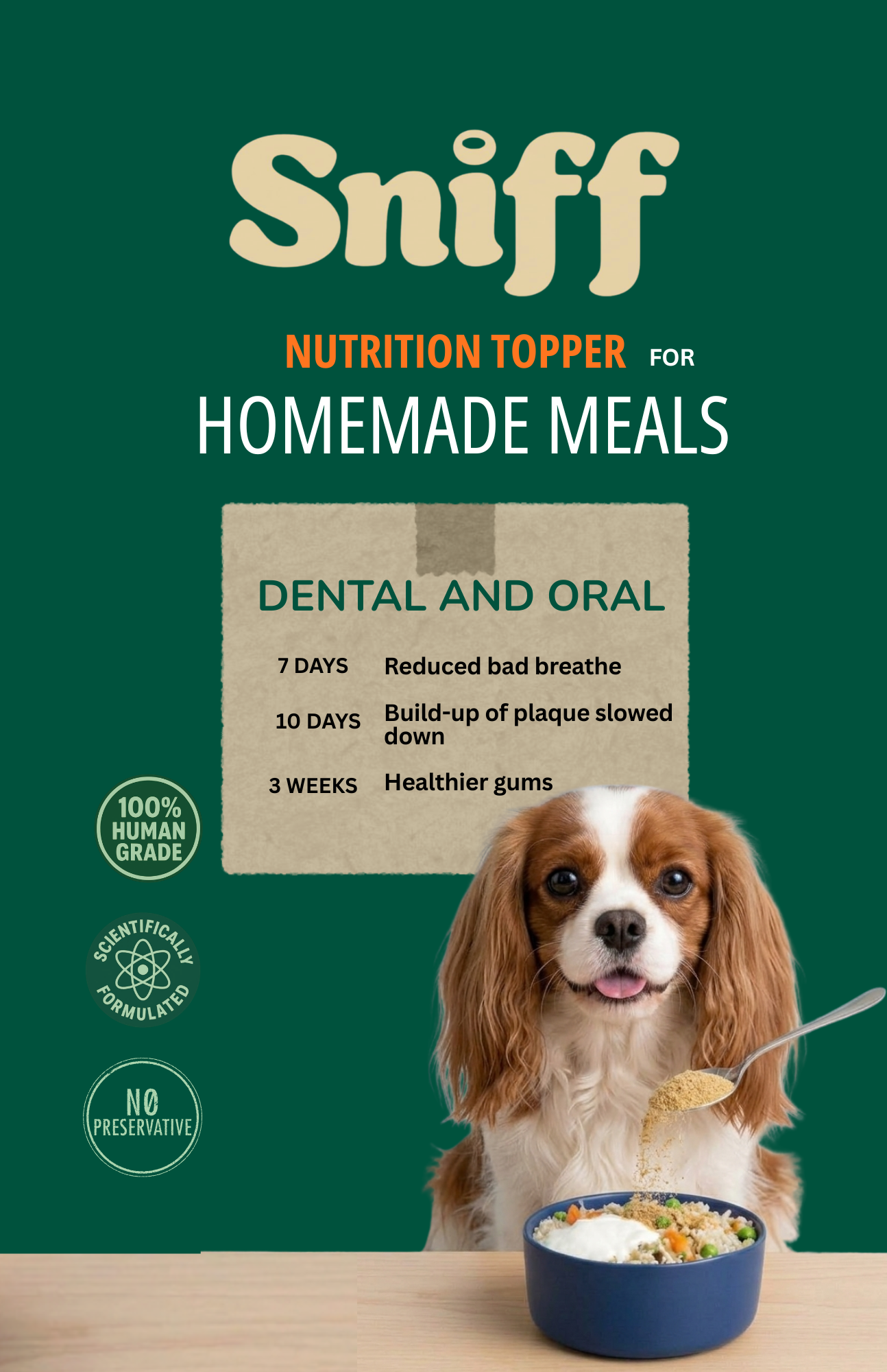 Dental and Oral Topper