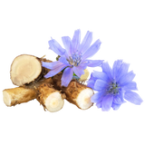 Prebiotics