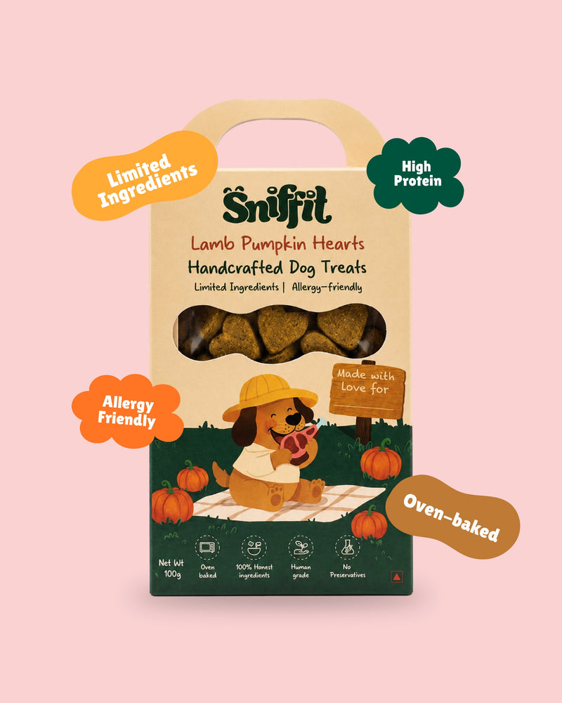 Lamb Pumpkin Hearts