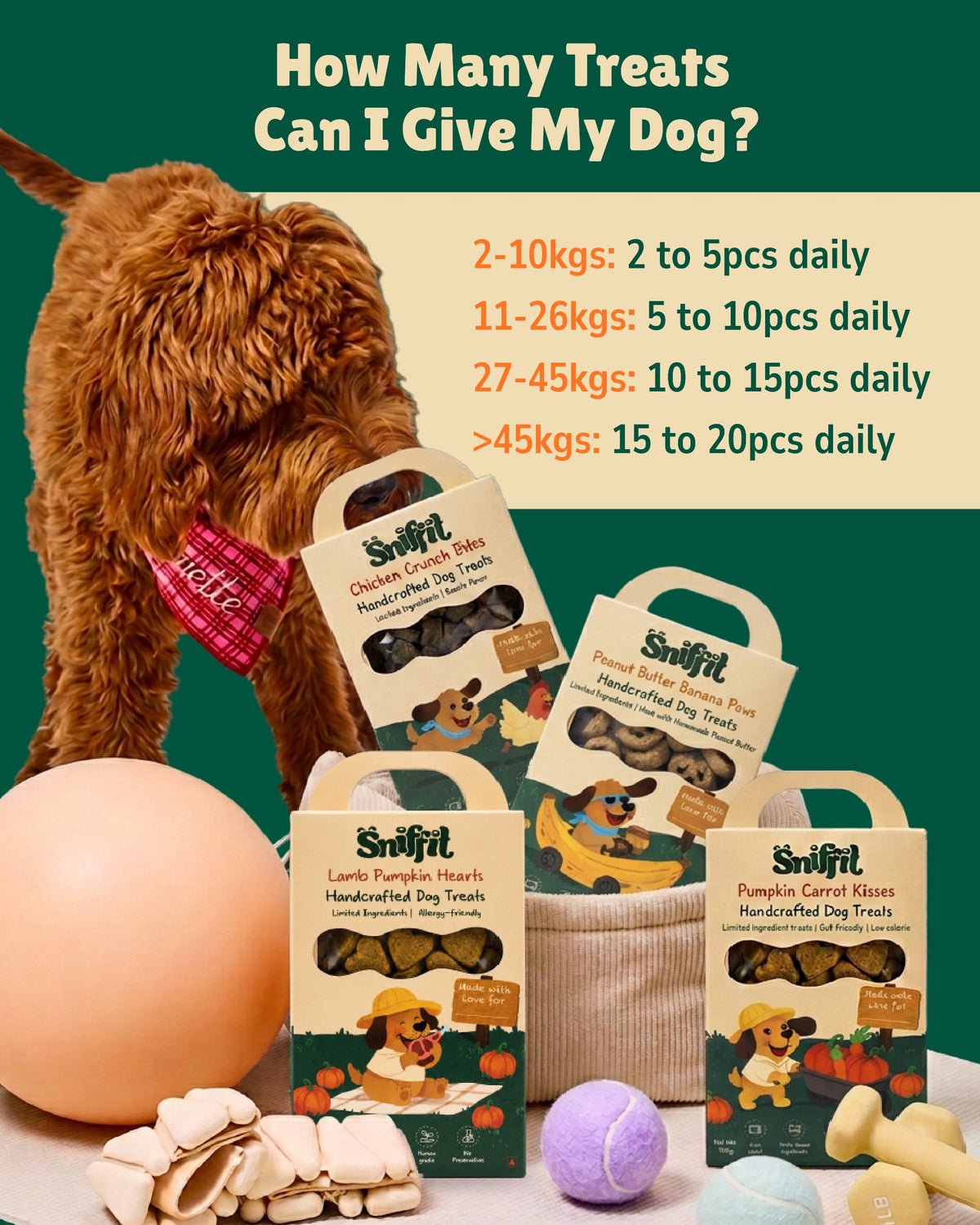 Chicken Crunch Bites Mini Gift
